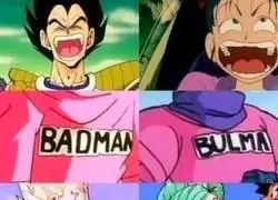 Vegeta y Bulma est&aacute;n hechos uno para el otro.