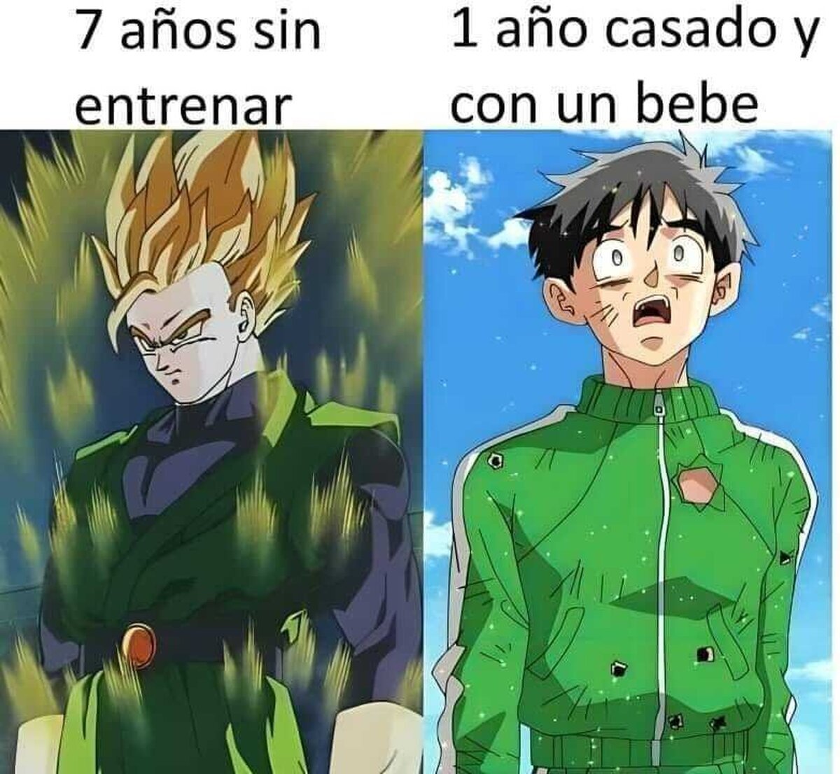 La nerfeada de Gohan es un crimen de lesa humanidad