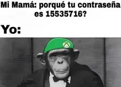 Ah, los elementos de un Xboxer