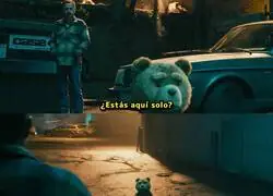 Ted nunca est&aacute; solo