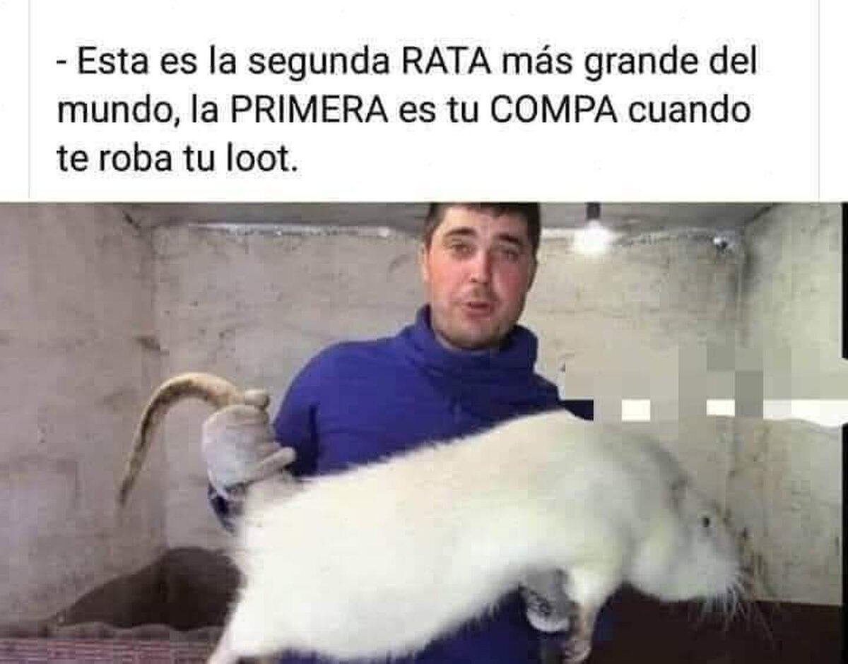 La rata más grande