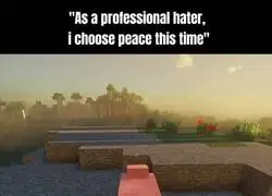 El atardecer que me hizo abandonar la violencia