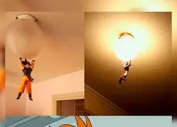 La mejor bombilla de la vida