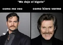 Un bigote de se&ntilde;or