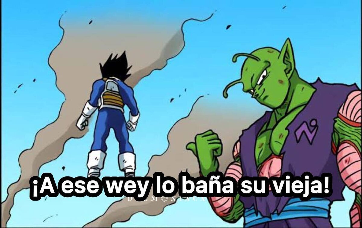 Que afortunado Vegeta