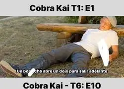 El extra&ntilde;o desarrollo de historia de Cobra Kai