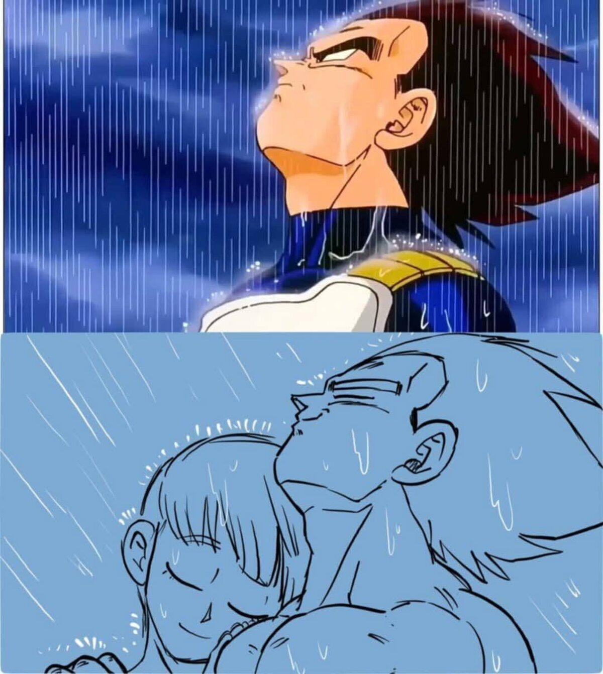 Vegeta, te comprendo a la perfección