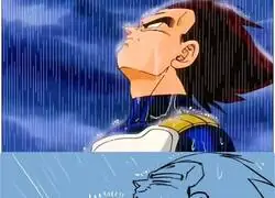 Vegeta, te comprendo a la perfecci&oacute;n