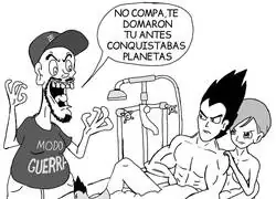 No podemos juzgar a Vegeta