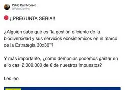 El dineral que se va en tonter&iacute;as