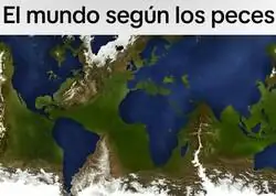 Nunca lo hab&iacute;a pensado