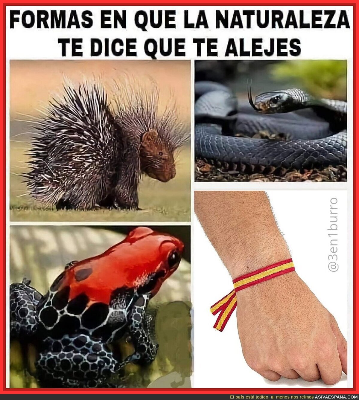 La vida te manda avisos