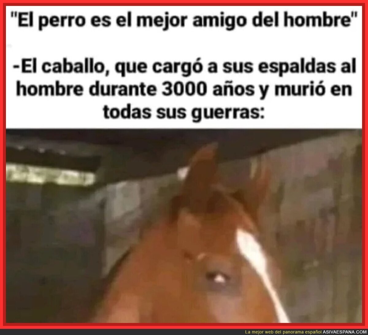 El caballo está bien celoso