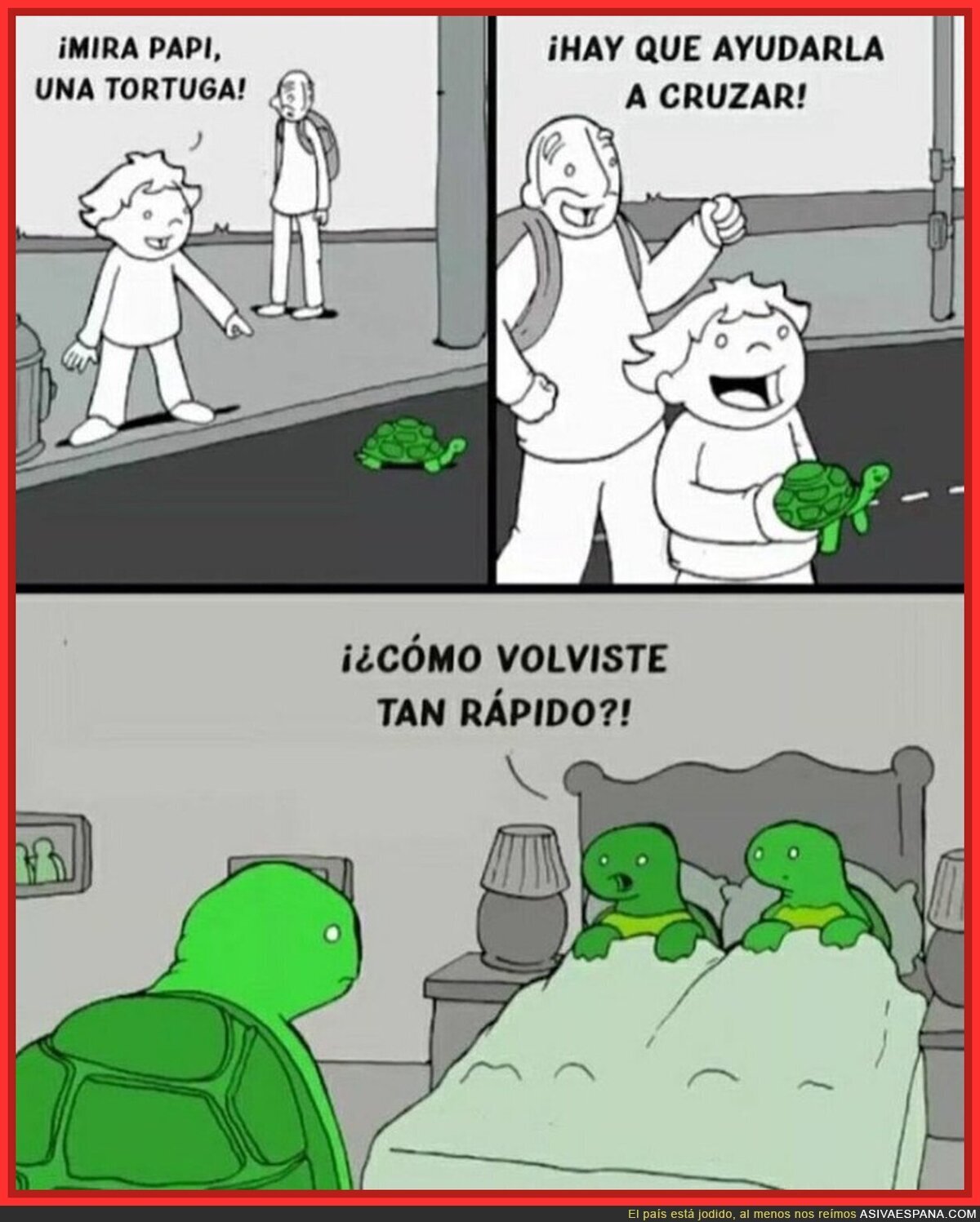 Cuidadín con ayudar a las tortugas