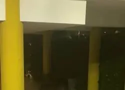 Una impresionante familia de jabal&iacute;es accede al interior de una urbanizaci&oacute;n en M&aacute;laga