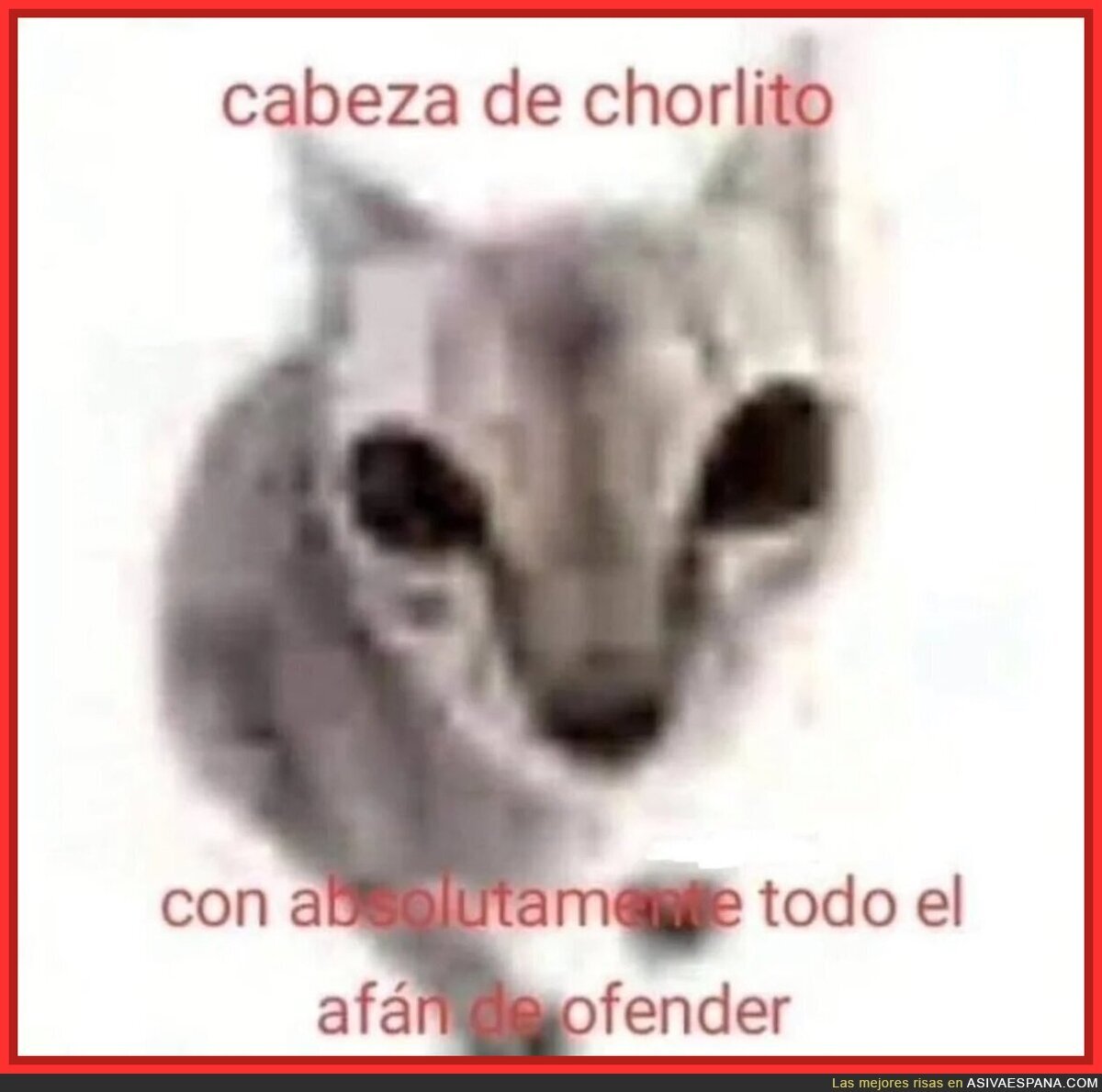 Un gran insulto