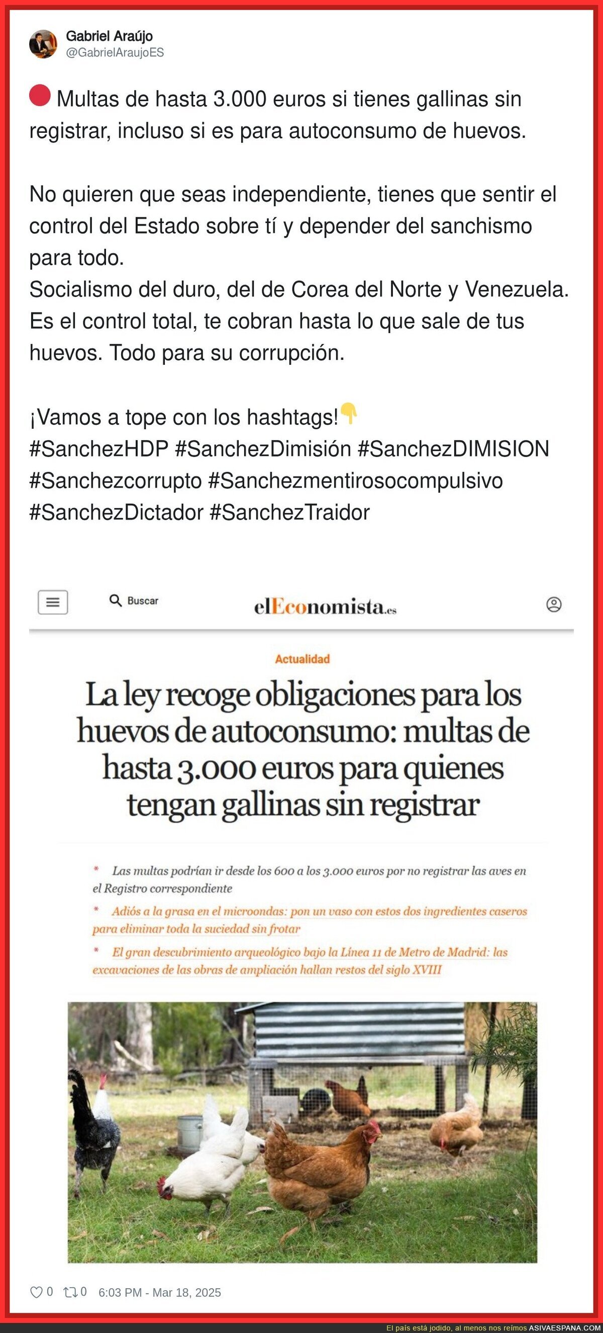 La ley sobre los huevos de autoconsumo que está dando que hablar