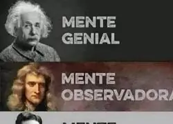 Diferentes tipos de inteligencias