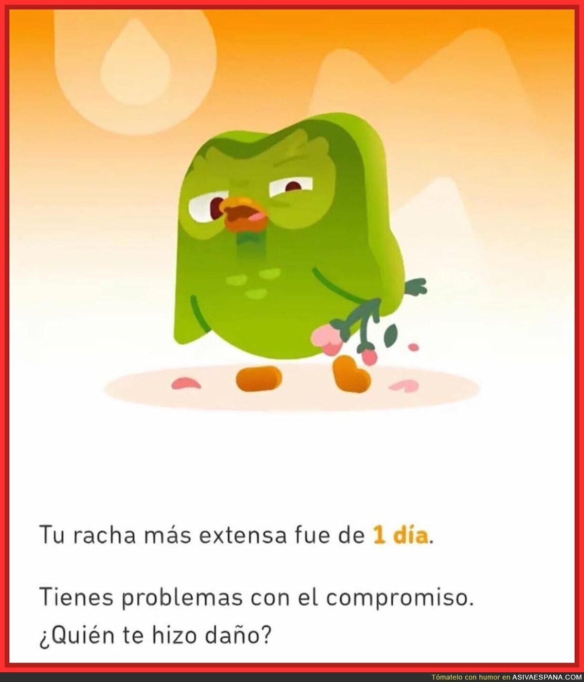 No duro mucho aprendiendo idiomas