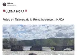 Feij&oacute;o haciendo lo que mejor sabe hacer