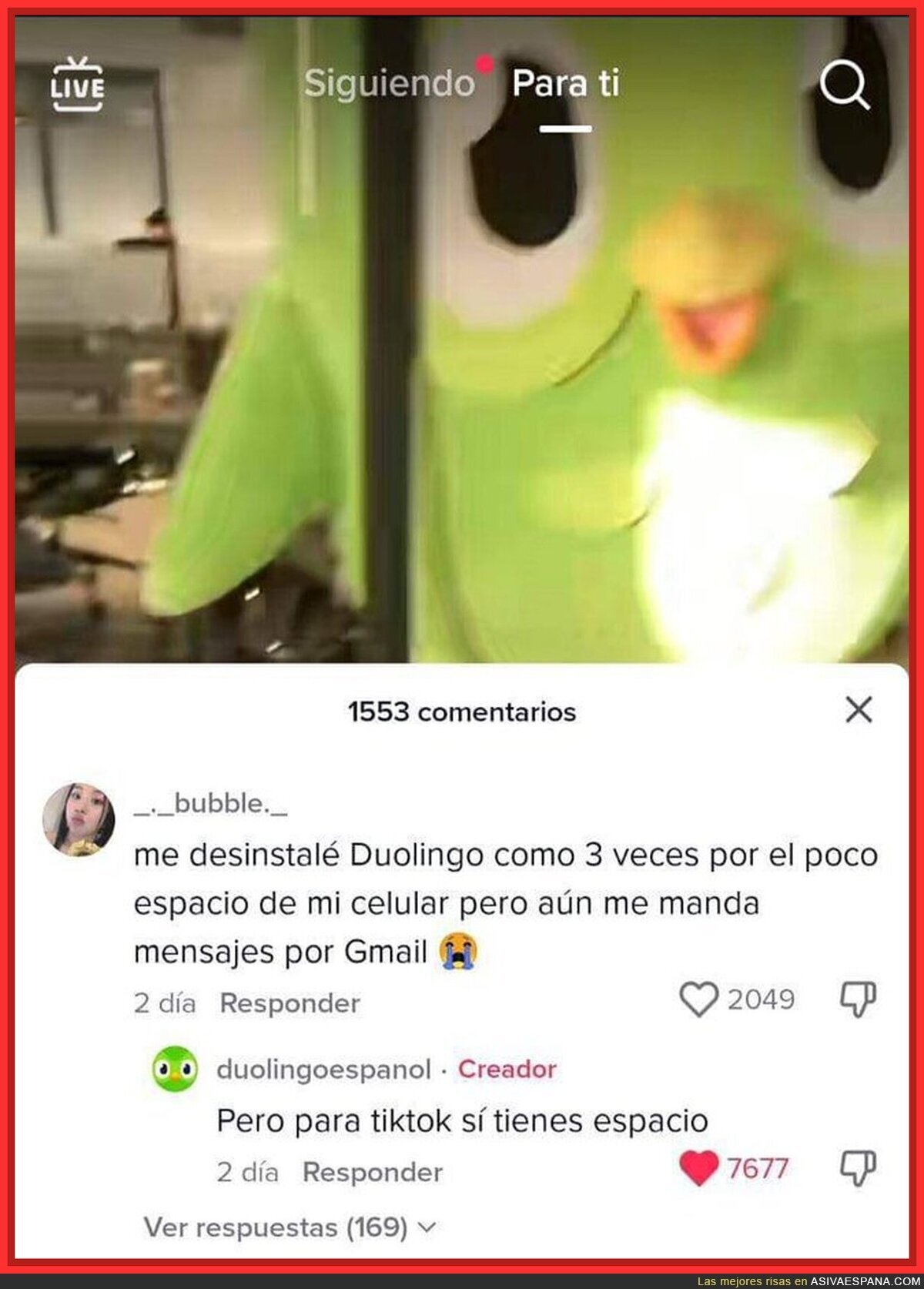 Así es Duolingo
