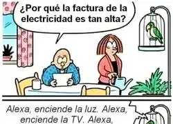 Todo tiene sentido con la factura de la luz