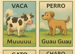 Los diferentes sonidos