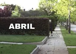 Se viene el 20 de abril