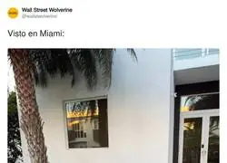 Perro Sanxe traspasa fronteras