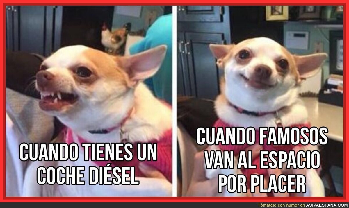 Los famosos se ríen de la gente