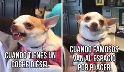 Los famosos se r&iacute;en de la gente