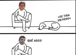 Muy fan del perro de Maz&oacute;n