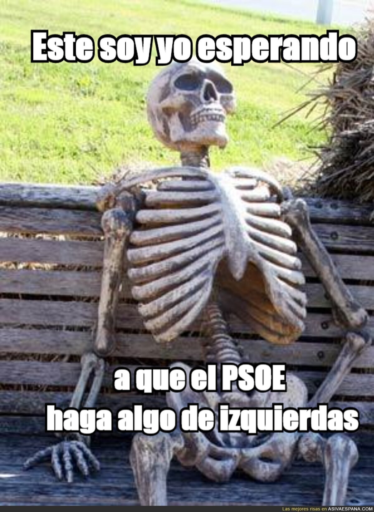 El PSOE en su línea