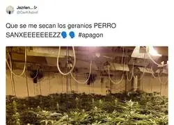 Maldito Perro Sanxeeee