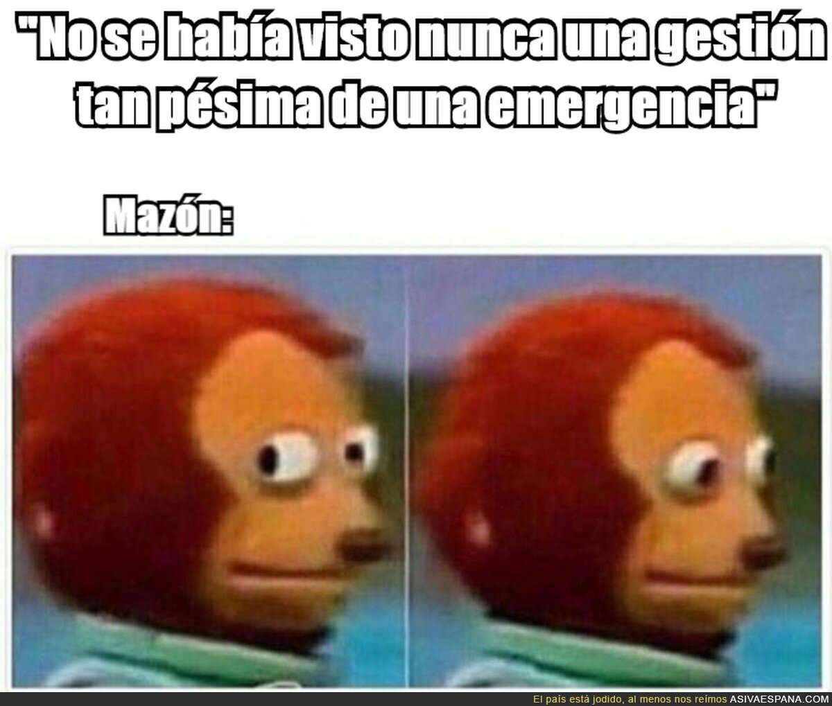 Disimula, Mazón
