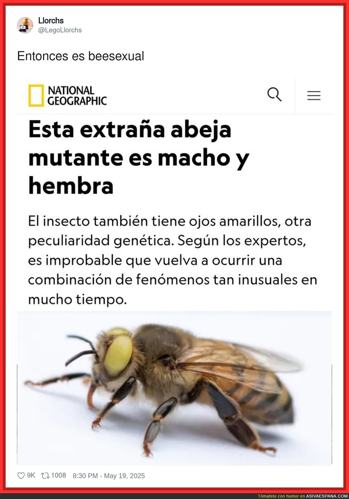 La tontería del día