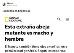 La tonter&iacute;a del d&iacute;a