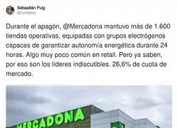 La estrategia de Mercadona ante el apag&oacute;n