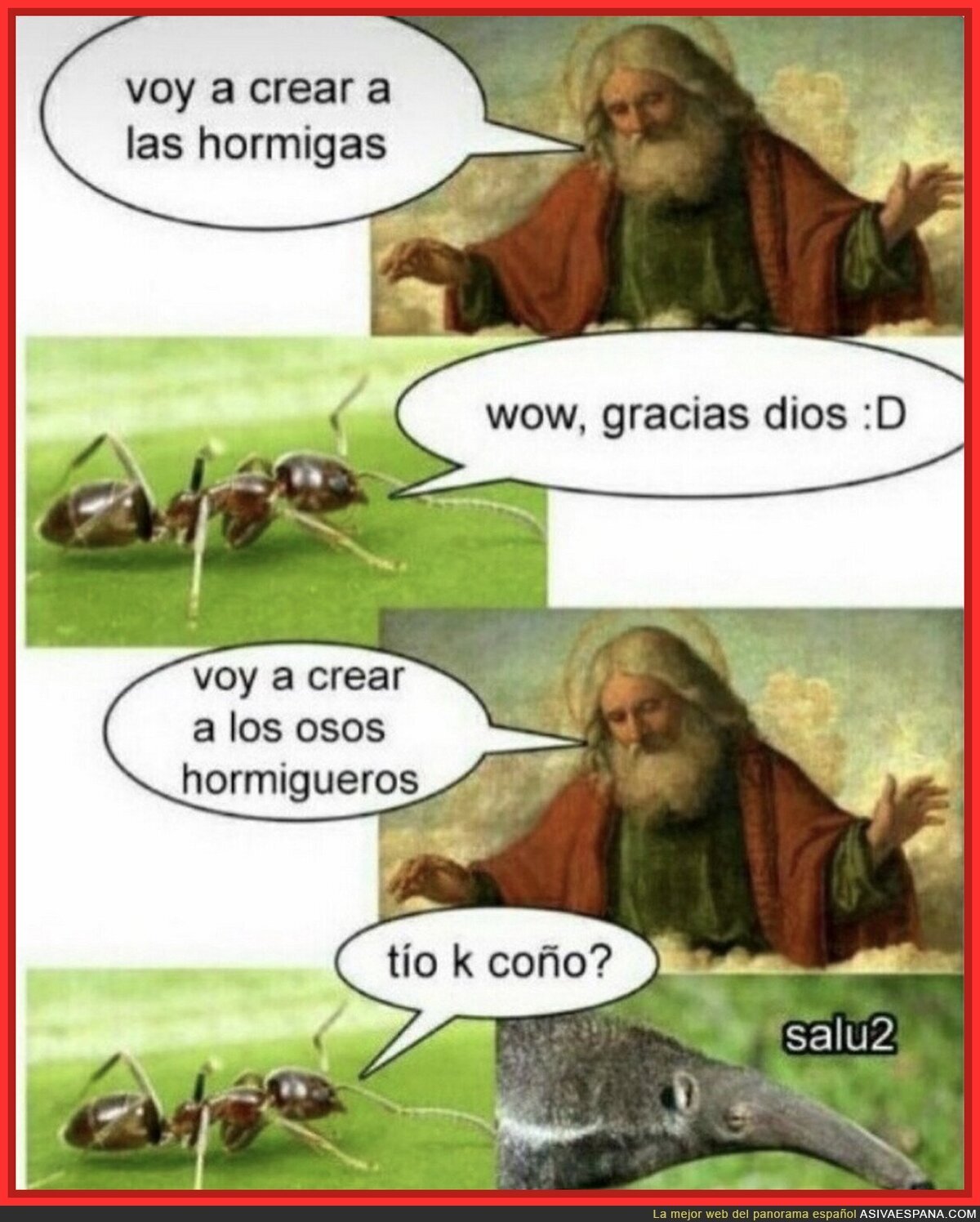 Las hormigas no están felices