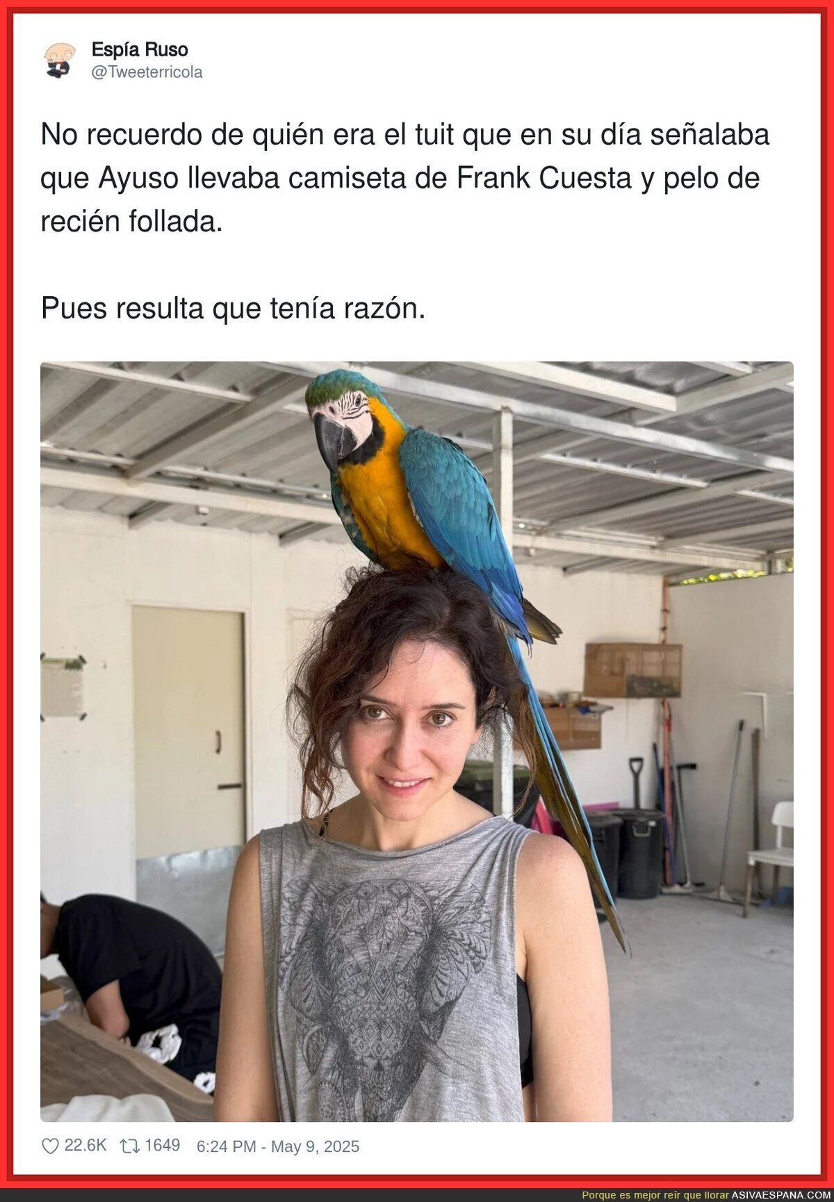 Lo que se cuenta sobre Ayuso y Frank Cuesta