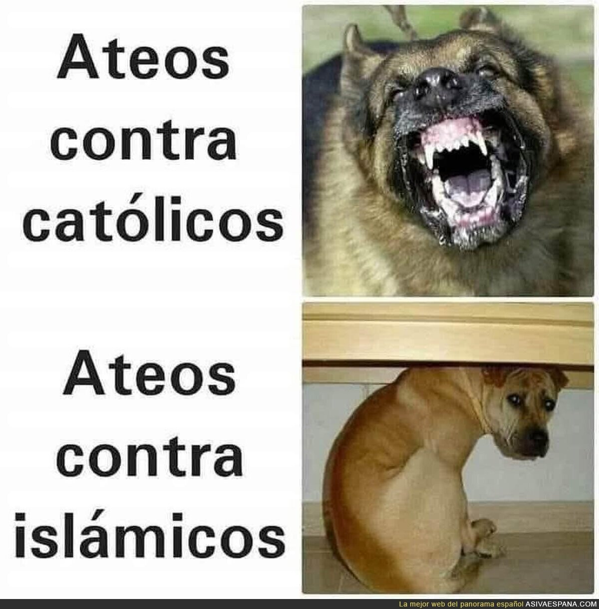 Tiene sentido porque a los ateos los lapidan en países islámicos