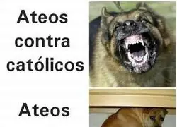 Tiene sentido porque a los ateos los lapidan en pa&iacute;ses isl&aacute;micos