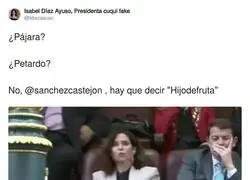 Los insultos que gusta a Ayuso