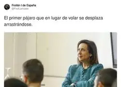 La p&aacute;jara sigue al lado de S&aacute;nchez