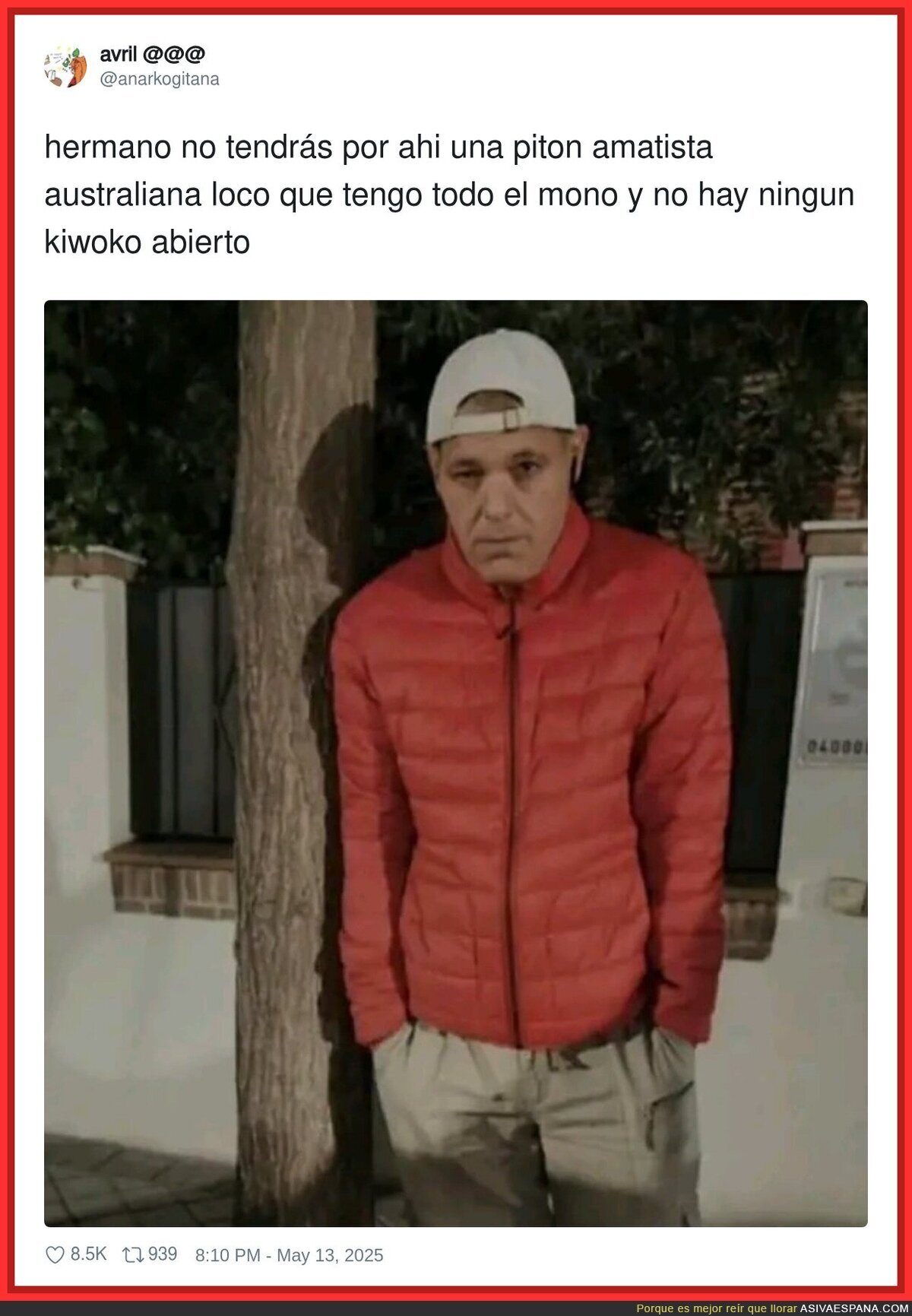 Frank Cuesta no puede más