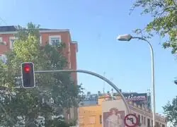 &iquest;Pero qui&eacute;n pide una palmera por Glovo?