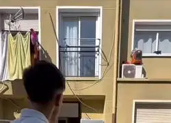 Los gitanos parodian la situaci&oacute;n espa&ntilde;ola de forma sublime