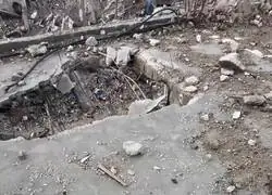 Es una barbarie lo que ocurre en Gaza