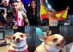 La doble vara de medir de la fachosfera