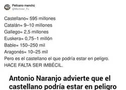 &iquest;D&oacute;nde ven que el castellano est&eacute; en peligro?